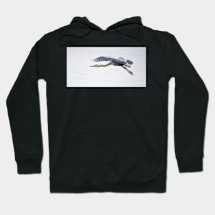 Great Blue Heron on Calm Waters Hoodie